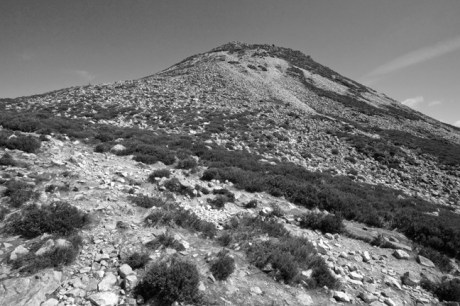 The Sugar Loaf, Co. Wicklow, Ireland, June 2010