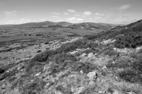 The Sugar Loaf, Co. Wicklow, Ireland, June 2010