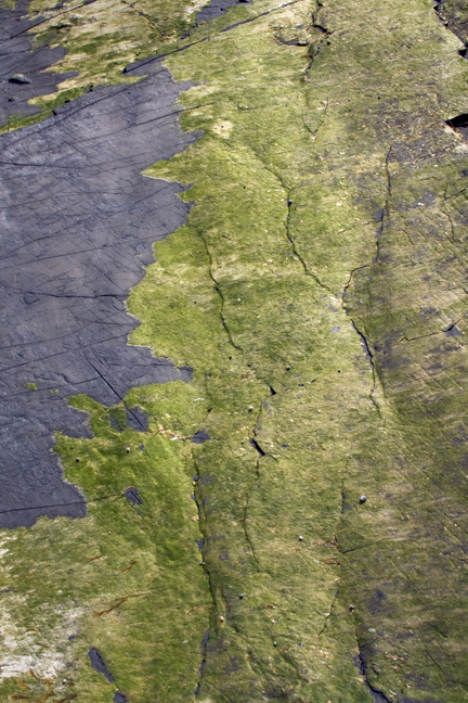 Loughshinny, Dublin, Co. Dublin, Ireland, June 2013