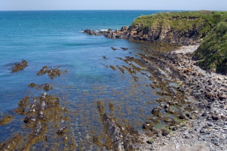 Loughshinny, Dublin, Co. Dublin, Ireland, June 2013