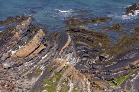 Loughshinny, Dublin, Co. Dublin, Ireland, June 2013