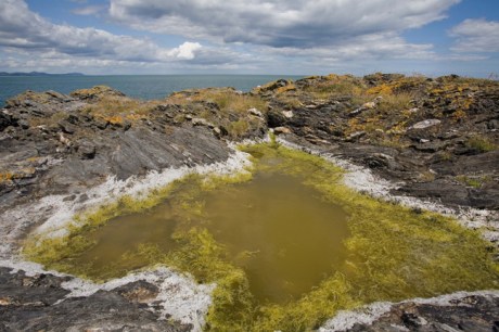 Bride's Head, Wicklow, Co. Wicklow, Ireland, July 2010