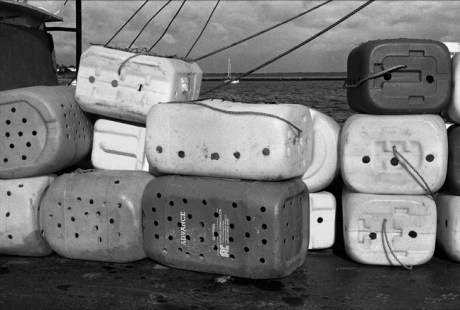 Wexford Quay, Wexford, Ireland, October 1992