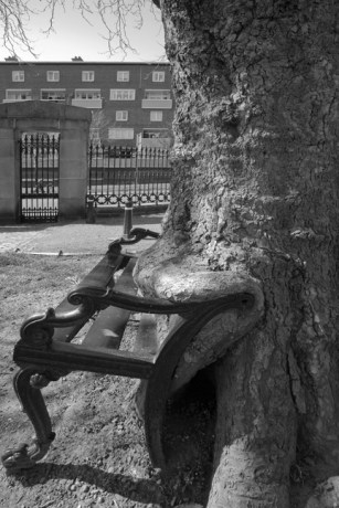 King's Inn Park, Dublin, Ireland, April 2010