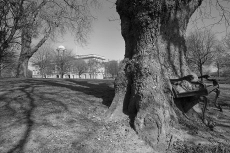 King's Inn Park, Dublin, Ireland, April 2010