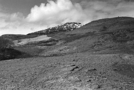 Haukadalur, Iceland, April 2006