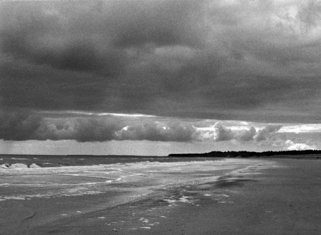 Curracloe Strand, Co. Wexford, Ireland, February 2005 Curracloe Strand, Co. Wexford, Ireland, February 2005