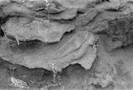 Curracloe Strand, Co. Wexford, Ireland, February 2005 Curracloe Strand, Co. Wexford, Ireland, February 2005