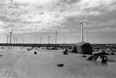 Nethertown, Co. Wexford, Ireland, October 2003 Nethertown, Co. Wexford, Ireland, October 2003