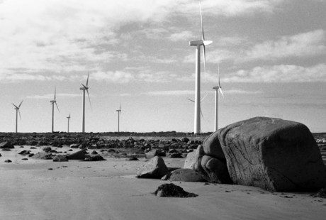 Nethertown, Co. Wexford, Ireland, October 2003 Nethertown, Co. Wexford, Ireland, October 2003