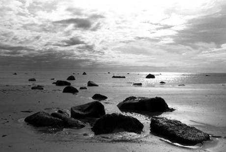 Nethertown, Co. Wexford, Ireland, October 2003 Nethertown, Co. Wexford, Ireland, October 2003