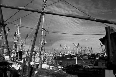 Harbour, Kilmore Quay, Co. Wexford, Ireland, July 2002 Harbour, Kilmore Quay, Co. Wexford, Ireland, July 2002