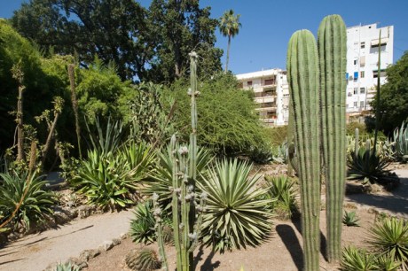 Universitat Jardi Botanic, Valencia, Spain, June 2012