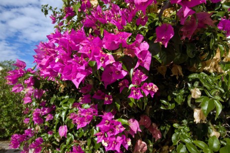 Javea, Marina Alta, Spain, October 2010