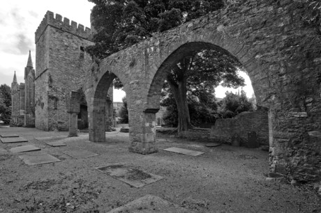 Selskar Abbey, Wexford, Co. Wexford, Ireland, August 2010 Selskar Abbey, Wexford, Co. Wexford, Ireland, August 2010