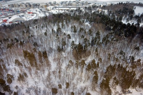 Ladugårdsgärdet, Stockholm, Sweden, February 2011