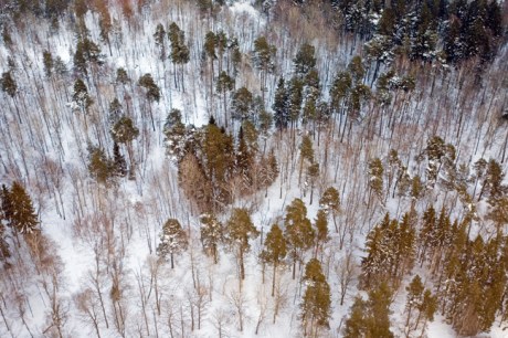 Ladugårdsgärdet, Stockholm, Sweden, February 2011