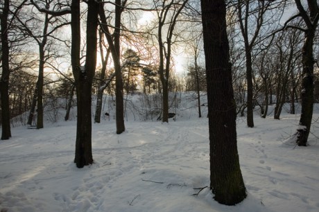Djurgårdsbrunnsvägen, Stockholm, Sweden, February 2011