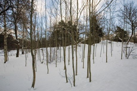 Djurgårdsbrunnsvägen, Stockholm, Sweden, February 2011
