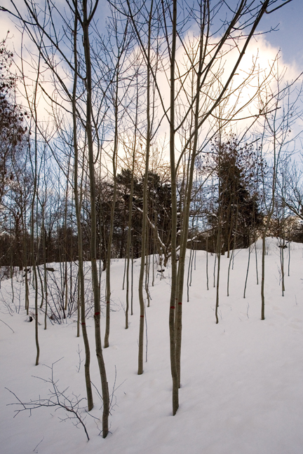 Djurgårdsbrunnsvägen, Stockholm, Sweden, February 2011