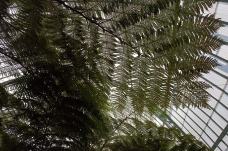 Grand Jardin d'hiver, Serres Royales de Laeken, Brussels, Belgium, May 2011