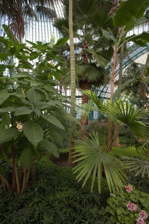 Grand Jardin d'hiver, Serres Royales de Laeken, Brussels, Belgium, May 2011