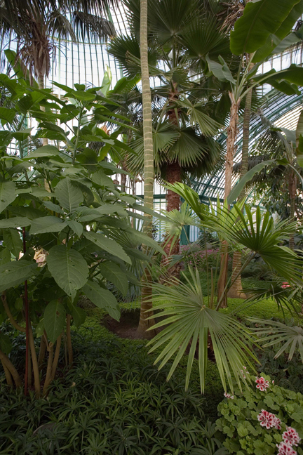 Grand Jardin d'hiver, Serres Royales de Laeken, Brussels, Belgium, May 2011