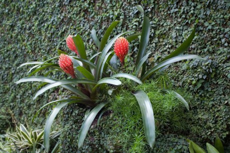 Grand Jardin d'hiver, Serres Royales de Laeken, Brussels, Belgium, May 2011
