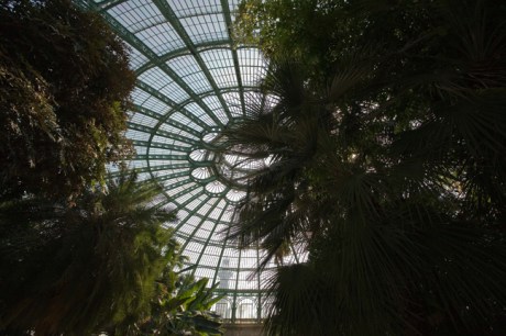 Grand Jardin d'hiver, Serres Royales de Laeken, Brussels, Belgium, May 2011