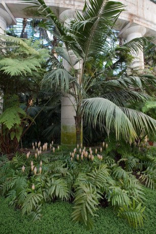 Grand Jardin d'hiver, Serres Royales de Laeken, Brussels, Belgium, May 2011