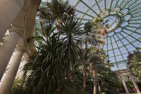 Grand Jardin d'hiver, Serres Royales de Laeken, Brussels, Belgium, May 2011