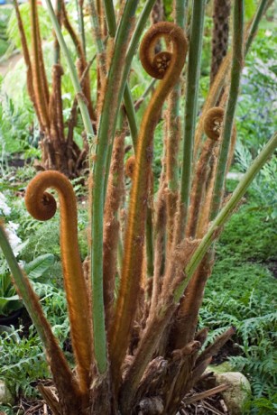 Grand Jardin d'hiver, Serres Royales de Laeken, Brussels, Belgium, May 2011