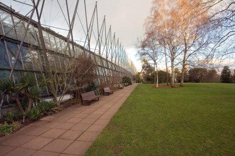 Royal Botanic Garden, Edinburgh, Scotland, February 2012