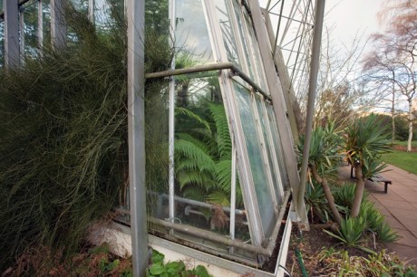 Royal Botanic Garden, Edinburgh, Scotland, February 2012