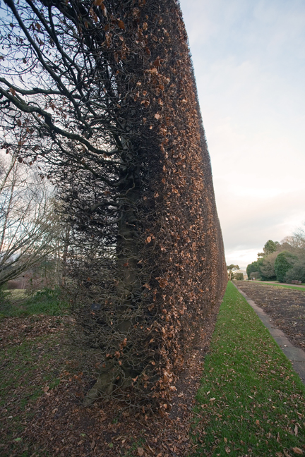 Royal Botanic Garden, Edinburgh, Scotland, February 2012