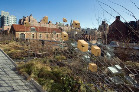 Model for a Habitat, High Line, Manhattan, New York, America, January 2012
