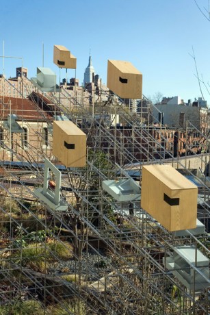 Model for a Habitat, High Line, Manhattan, New York, America, January 2012
