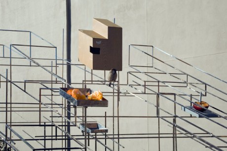 Model for a Habitat, High Line, Manhattan, New York, America, January 2012