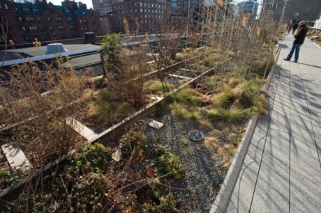 The High Line, Manhattan, New York, America, January 2012