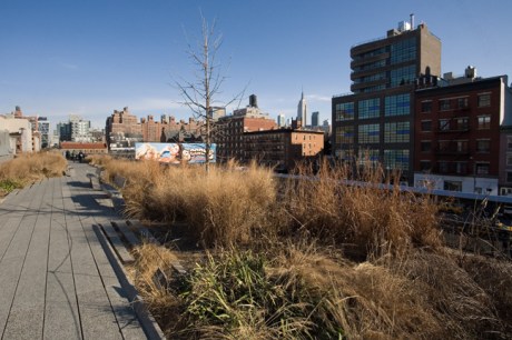 The High Line, Manhattan New York, America, January 2012
