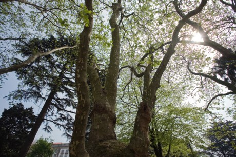Cordoaria Garden, Porto, Portugal, April 2012