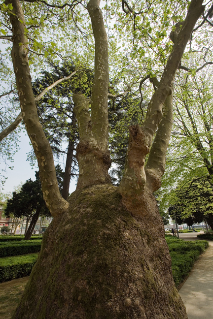 Cordoaria Garden, Porto, Portugal, April 2012