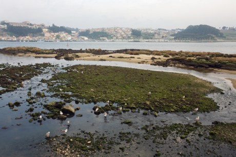 Rua das Sobreiras, Porto, Portugal, April 2012
