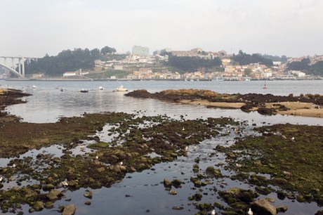 Rua das Sobreiras, Porto, Portugal, April 2012
