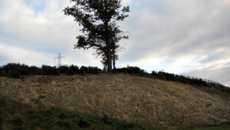 Wexford, Ireland, October 13th 2007