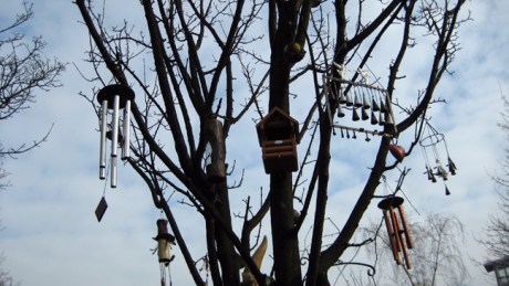 Baggot Street, Dublin, Ireland, March 2011
