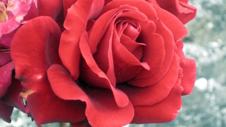 Killeen, Meath, Ireland, June 2012