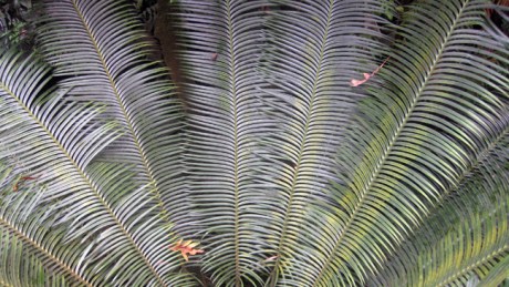 Belfast, Ireland, August 2012