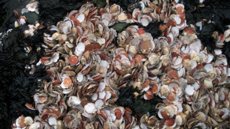 Kilmore, Wexford, Ireland, October 18th 2008