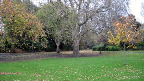 Dublin, Ireland, November 17th 2007